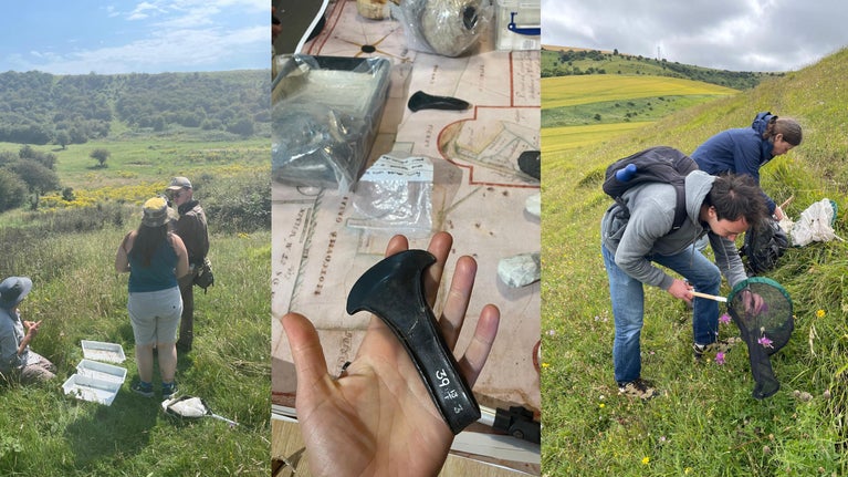 Three photos, the first featuring young people working in the landscape, the second of a bronze age axe head, and the third of people doing an insect survey